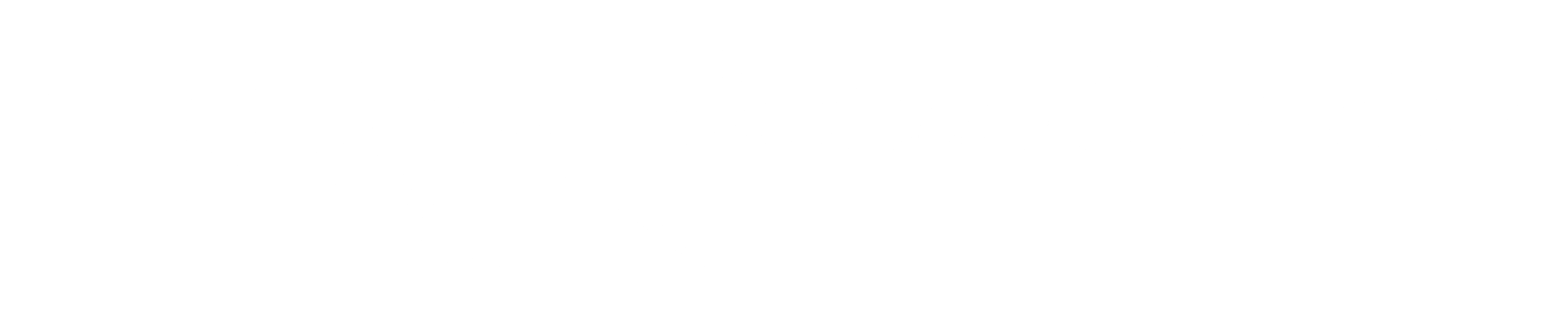 Southern Bus Lines logo